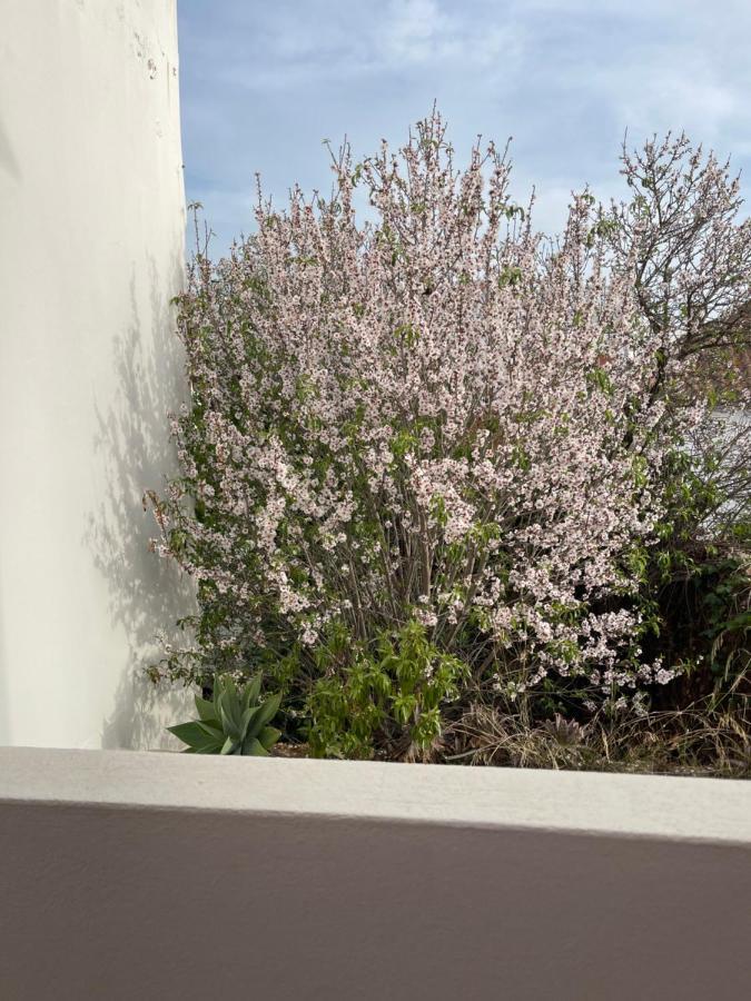 Casa Da Aldeia - Guest House Odiaxere Luaran gambar